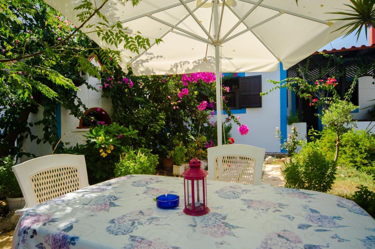 Stegnailion Apartment Archangelos  Exterior photo